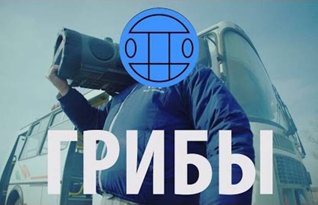 Грибы - Тает Лёд